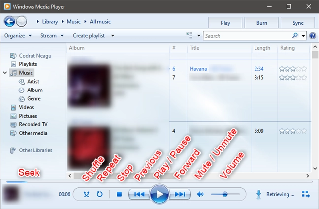 Windows Media Player: Playback controls