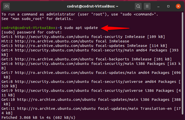 Running sudo apt update in Ubuntu Linux