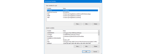 What are environment variables in Windows?