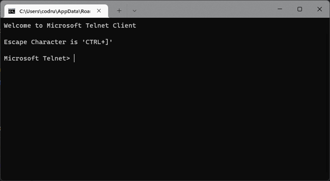 Telnet in Windows 11