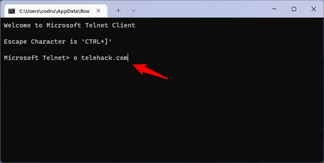How to connect to a Telnet server