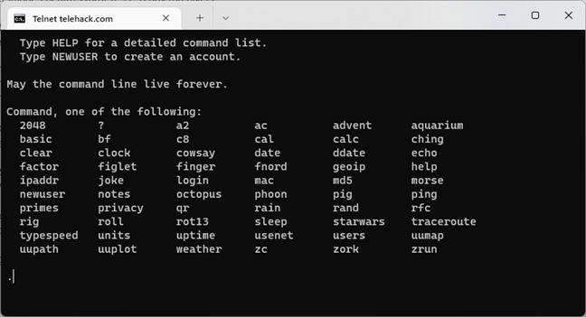 Connection to a Telnet server