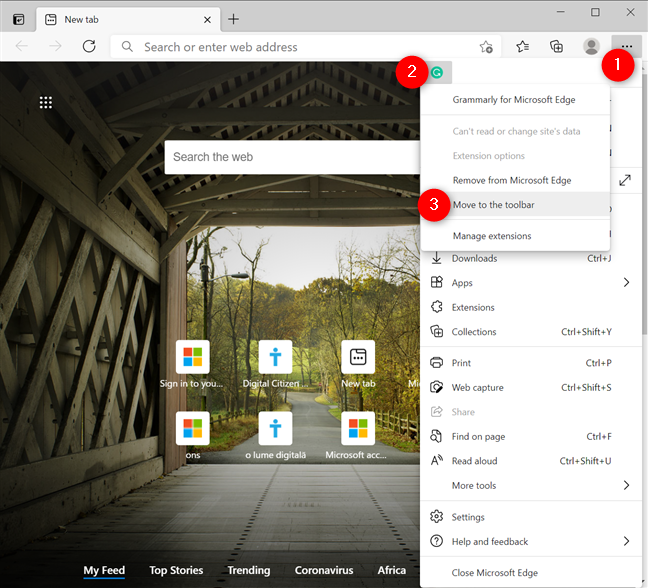 How to show an extension icon in the toolbar again