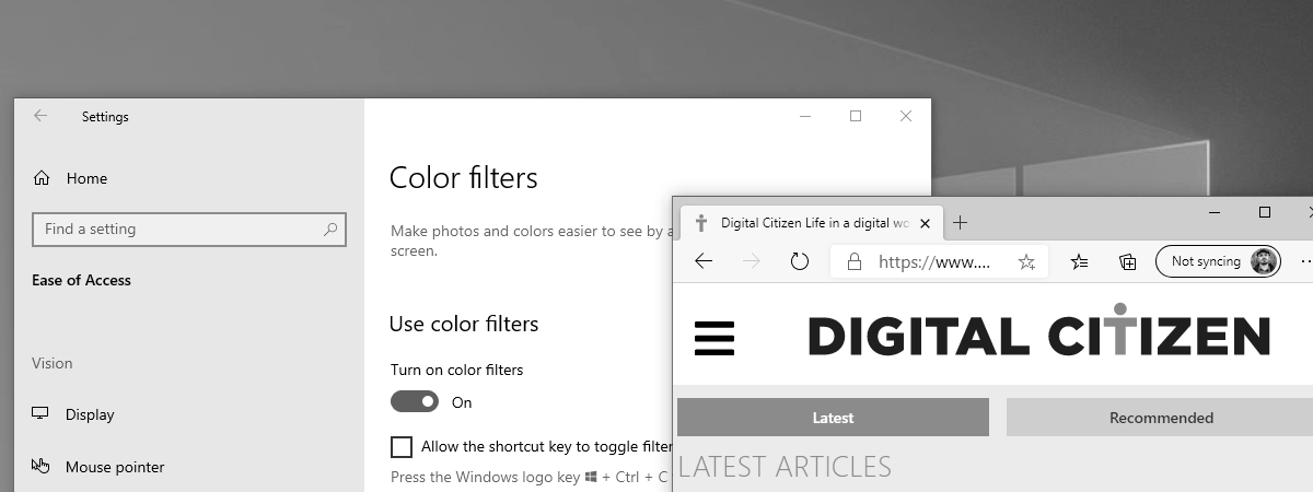 Why is my screen black and white? Fix this problem in Windows 10!