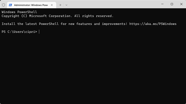 Opening a PowerShell tab in Windows Terminal works just as well