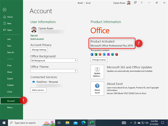 Go to Account and check the Office version