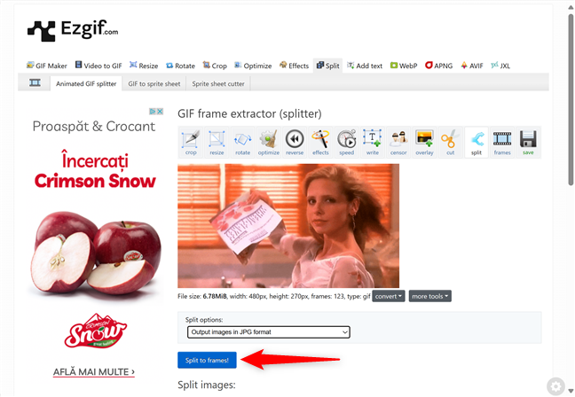 Split a GIF into frames online