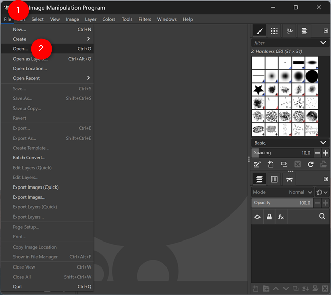 Select Open in the File menu