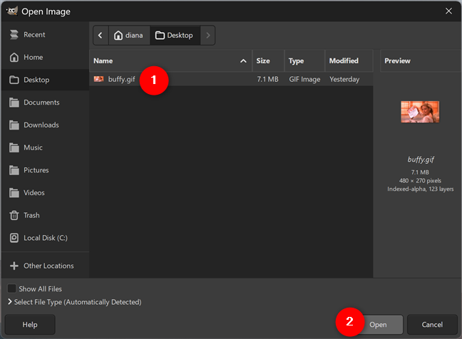 Open a GIF file in GIMP