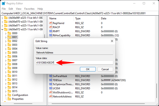 Enter a new MAC address in Registry Editor