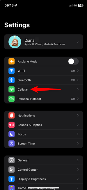 Access the iPhone Cellular settings