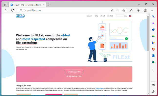 The FILExt online database