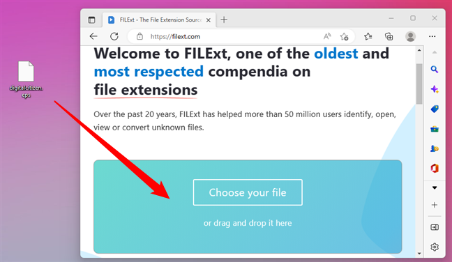 Using the FILExt website as an unknown file opener