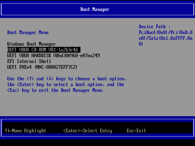 Choosing to boot from a CD in the BIOS/UEFI Boot Menu
