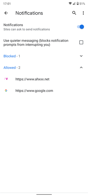 The Notifications screen can display up to two lists of websites at the bottom