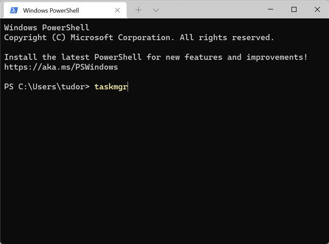Running the taskmgr command in Windows Terminal