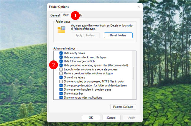 How to make Windows 11 show protected operating system files