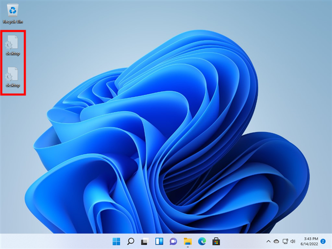 Two desktop.ini files on the Windows 11 desktop