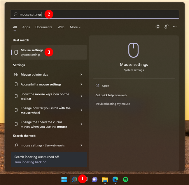 Access the Mouse settings in Windows 11
