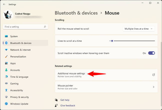 How to install custom mouse cursors in Windows - Digital Citizen