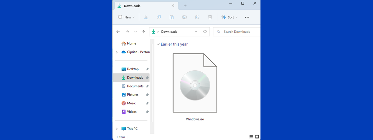 What is a disk image file (ISO, IMG, NRG, BIN, etc.)?