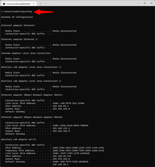 Getting CMD NIC info (information about the Network Interface Card) by running ipconfig