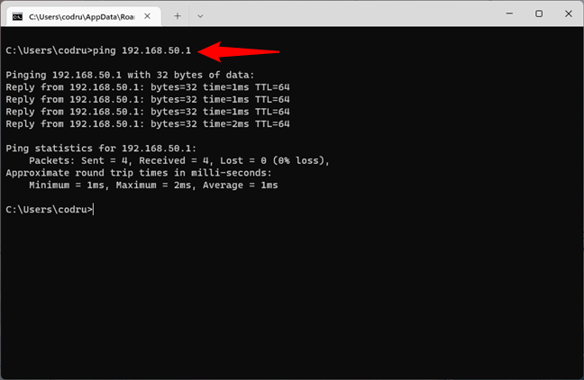 Pinging the router to check the network connection