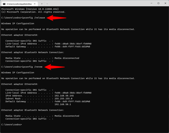 Running ipconfig commands in CMD to reset the IP address