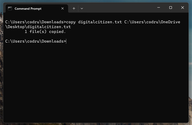 CMD can execute all the regular file management tasks in Windows