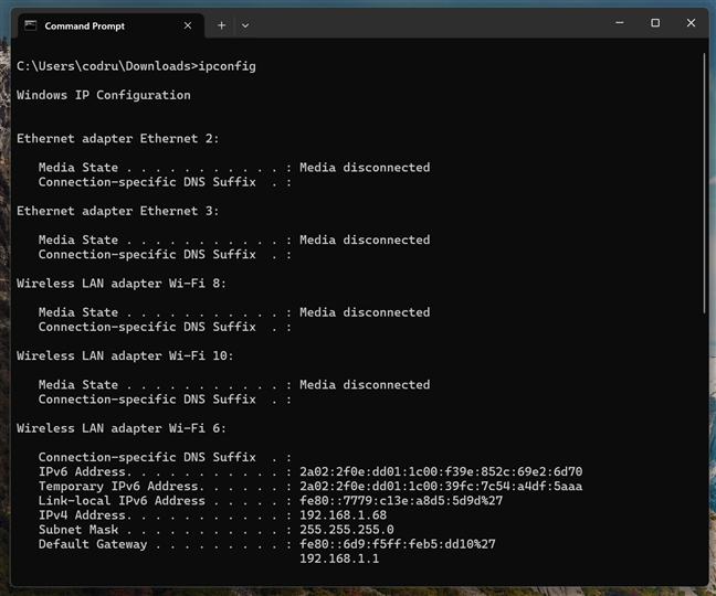 Checking the network configuration in Command Prompt