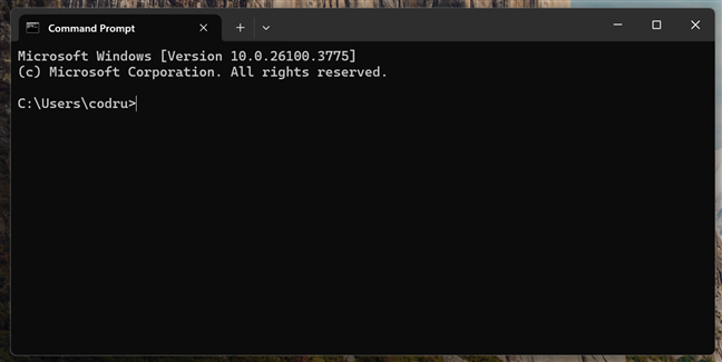 The Command Prompt in Windows 11