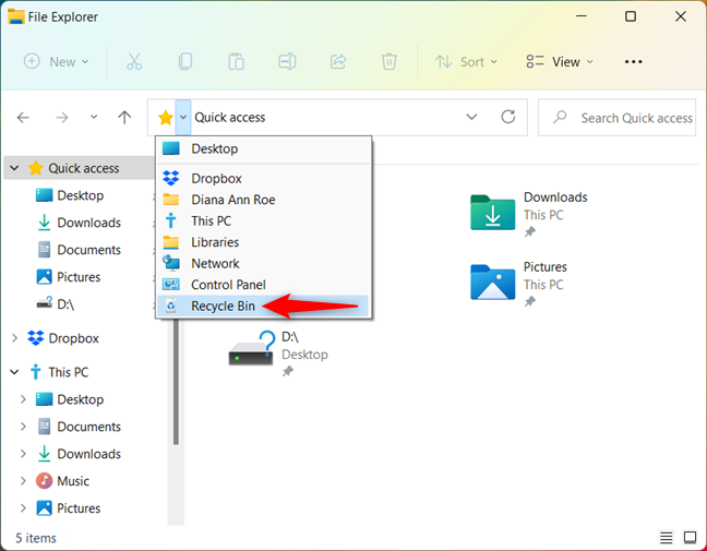 Access the Recycle Bin in Windows 10 and Windows 11
