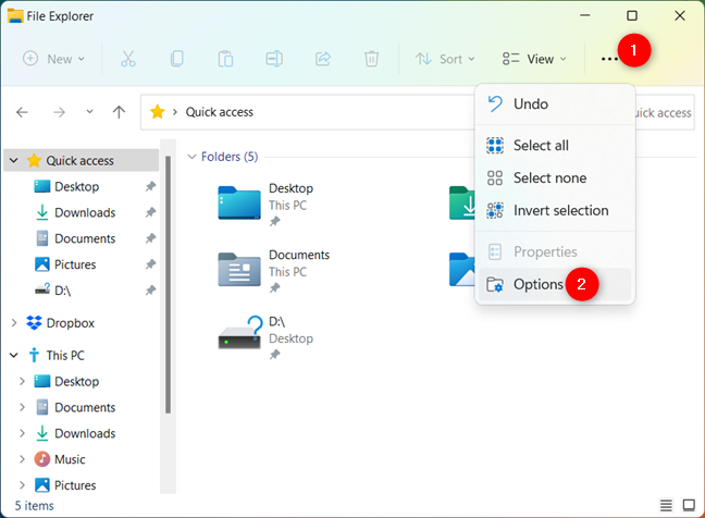 Access the Folder Options in Windows 11 to show hidden system files