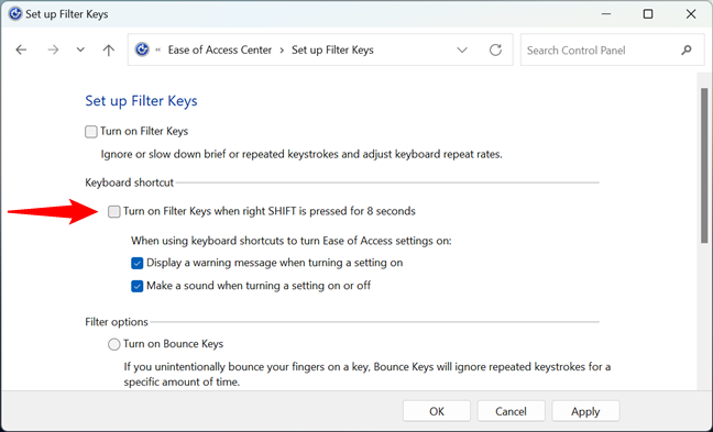 How to turn off Filter Keys in Control Panel