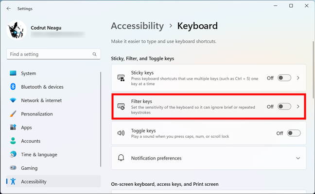 The Filter Keys entry in Windows 11's Accessibility