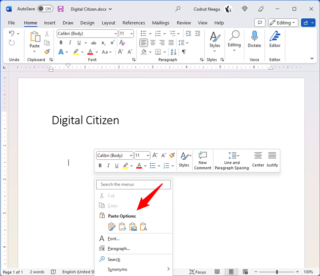 Paste Options in Microsoft Word