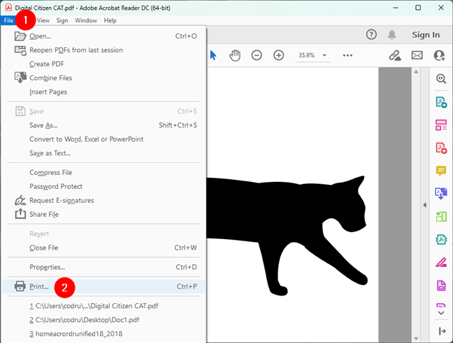 Choosing Print in the File menu of Adobe Acrobat Reader