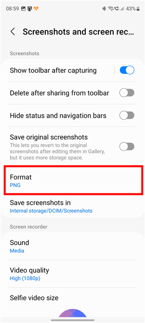 The screenshot Format setting