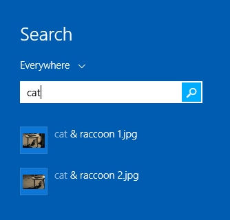 search, advanced, wildcards, filters, Windows