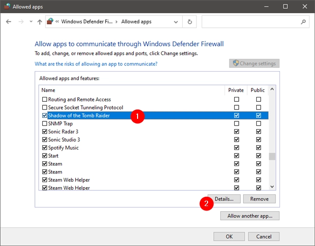Details of a program firewall rules
