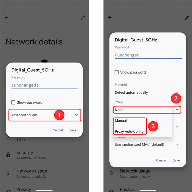 The proxy settings are in the Advanced options section