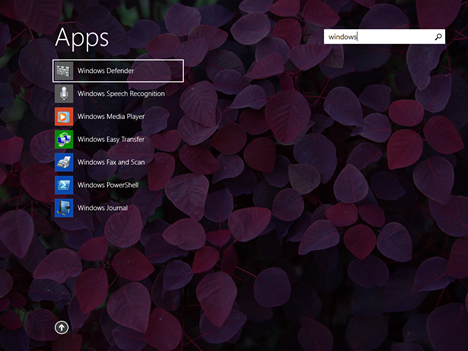 Windows 8.1, Apps View, category, name, installed date, usage, programs