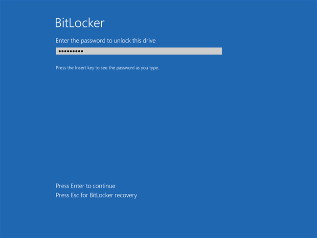 On a Windows 10 PC without a TPM chip, BitLocker prompts you to enter the password