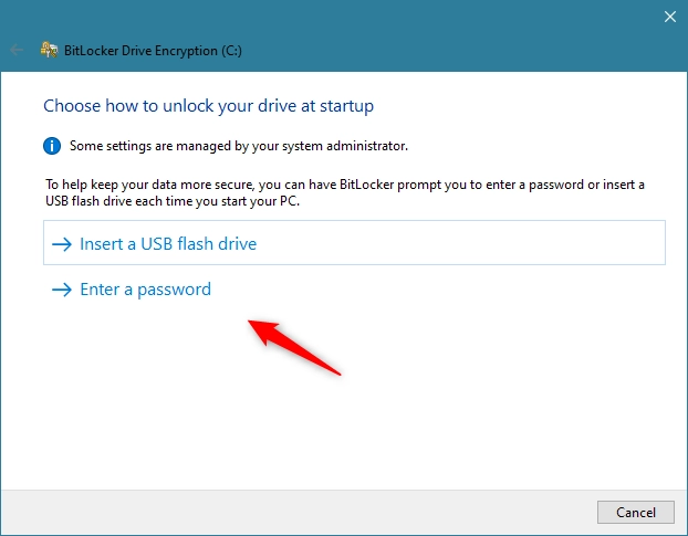 If the PC has no TPM chip, BitLocker requires a USB flash drive or a password