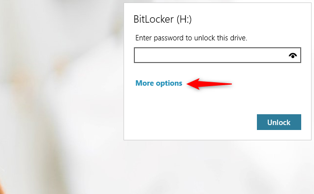 The More options link from the BitLocker drive unlock dialog