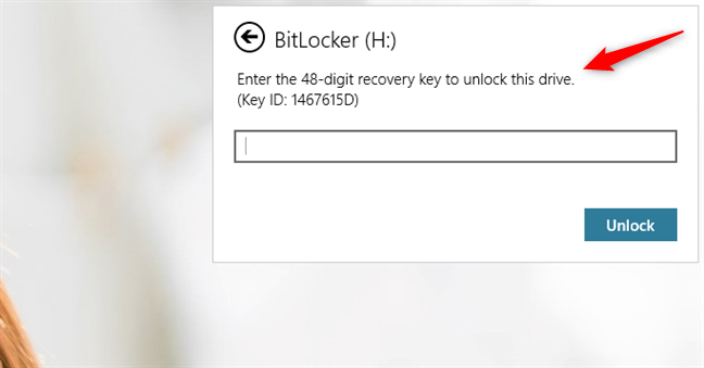 The recovery key field from BitLocker's unlock window