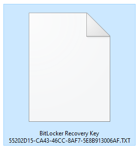 A file with the BitLocker recovery key