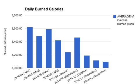 Christmas, habits, food, sleep, activity