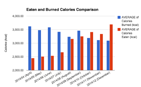 Christmas, habits, food, sleep, activity