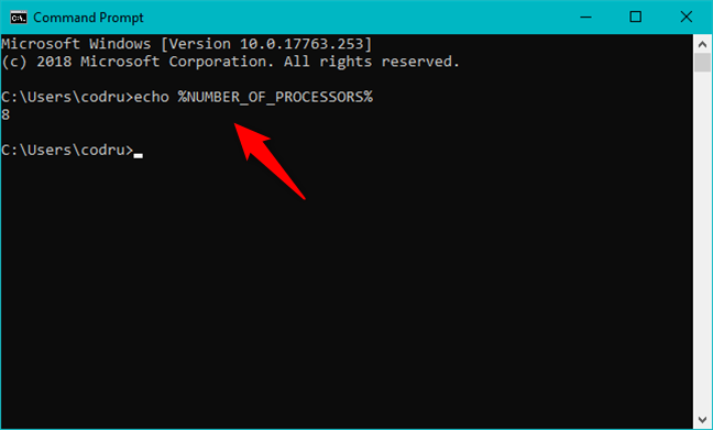 The Number of Processors environment variable